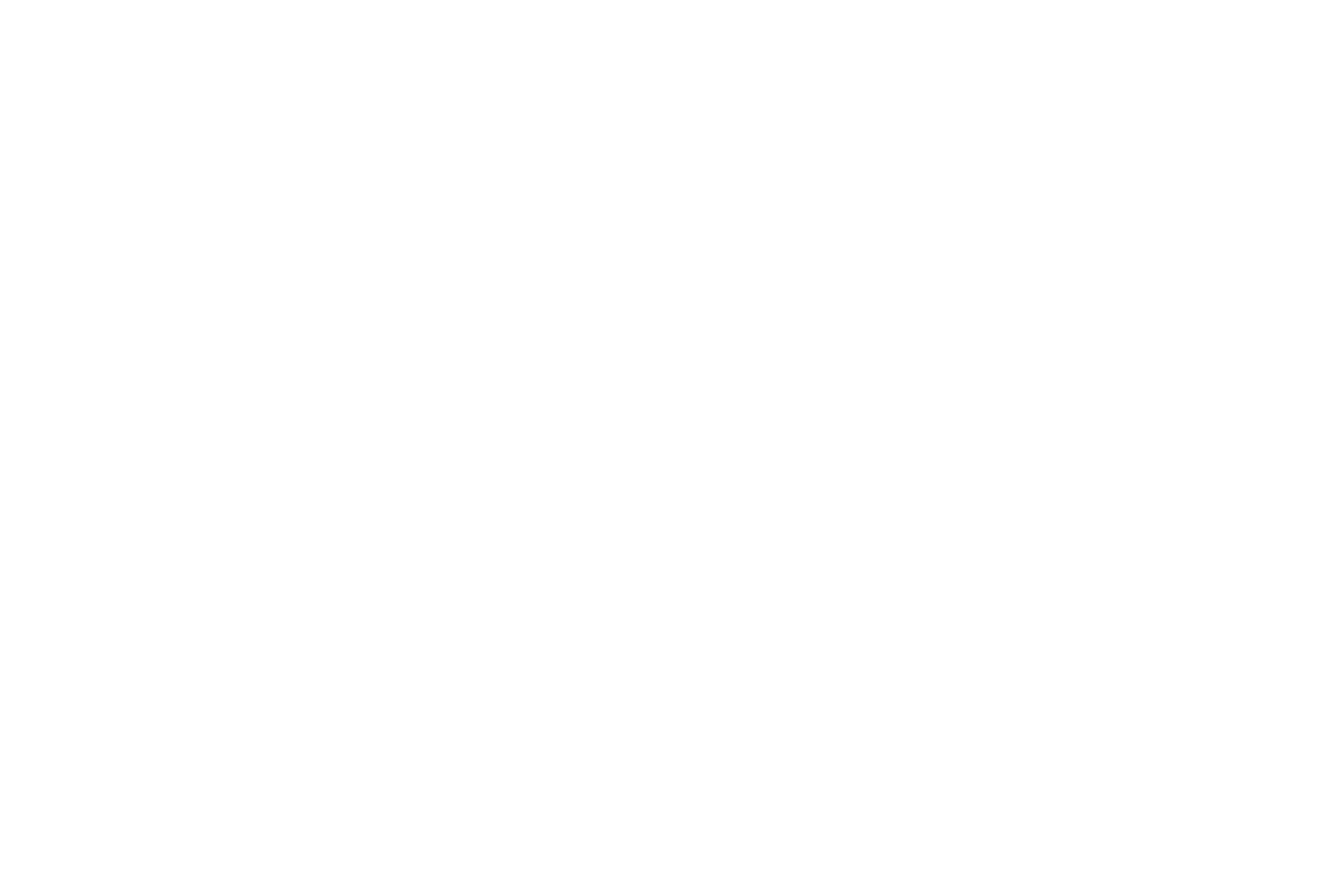 Ritual Burger
